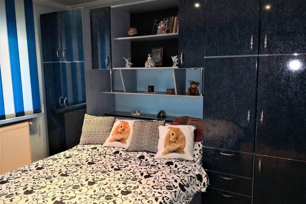 Home Away From Home Petrila ภายนอก รูปภาพ